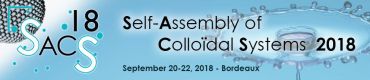 Self-Assembly of Colloidal Systems Conference (SACS'18), September 20-22, 2018 - Bordeaux